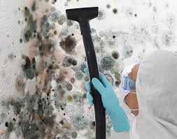 Professional Mold Inspection in Champion Heights, OH